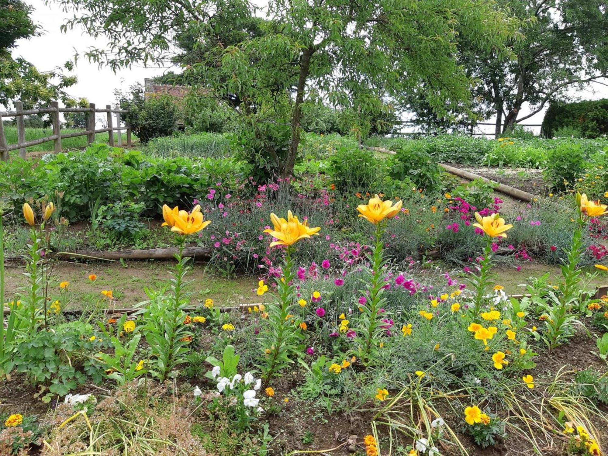 Maison De Charme Avec Jardin, Nature, Cheminee, Wifi, Proche Manoirs Et Rivieres Tortueuses - Fr-1-497-99 Saint-Bomer-les-Forges Bagian luar foto